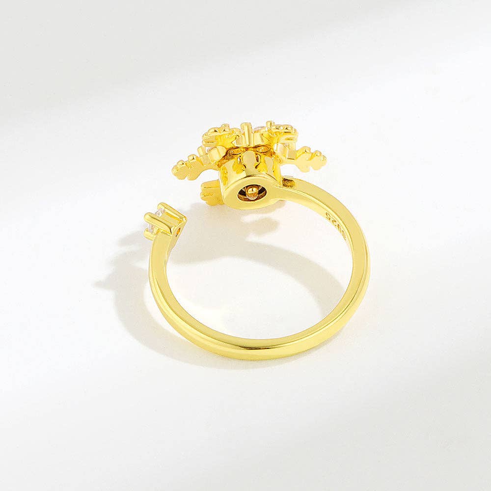 Bague Spinner Polaris - Bijou d'intention Aurora